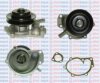 AQUAPLUS 85-5075 Water Pump